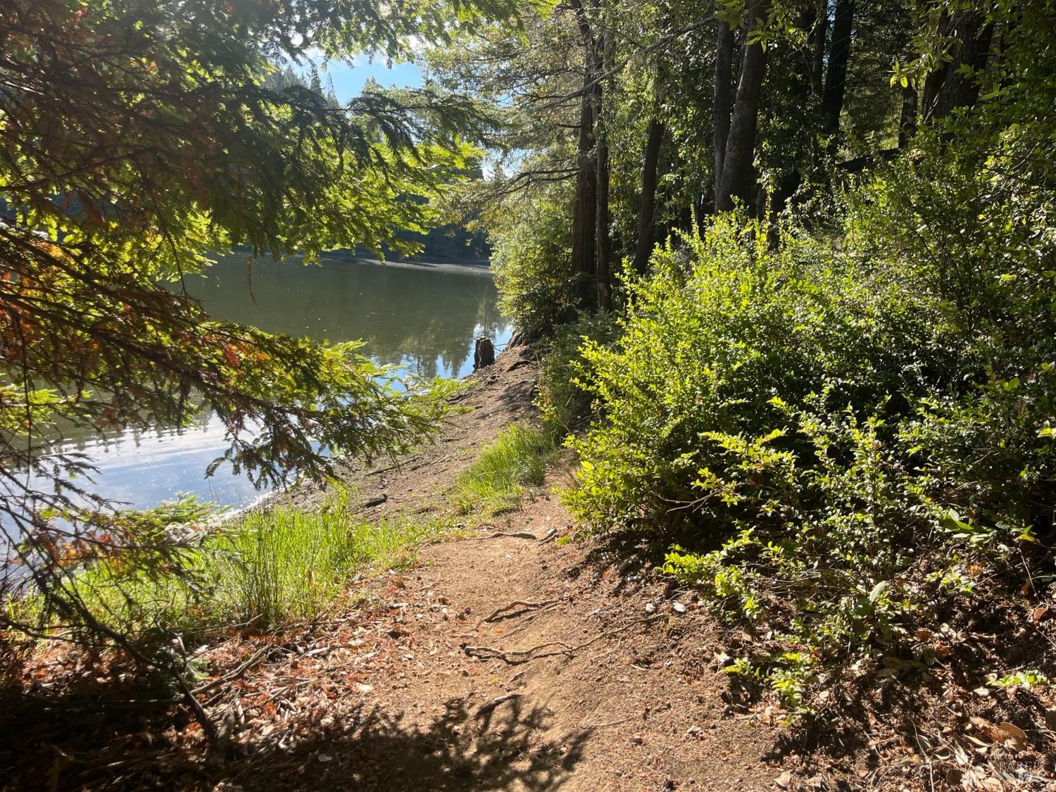 2114 Poppy Lane Willits CA 95490