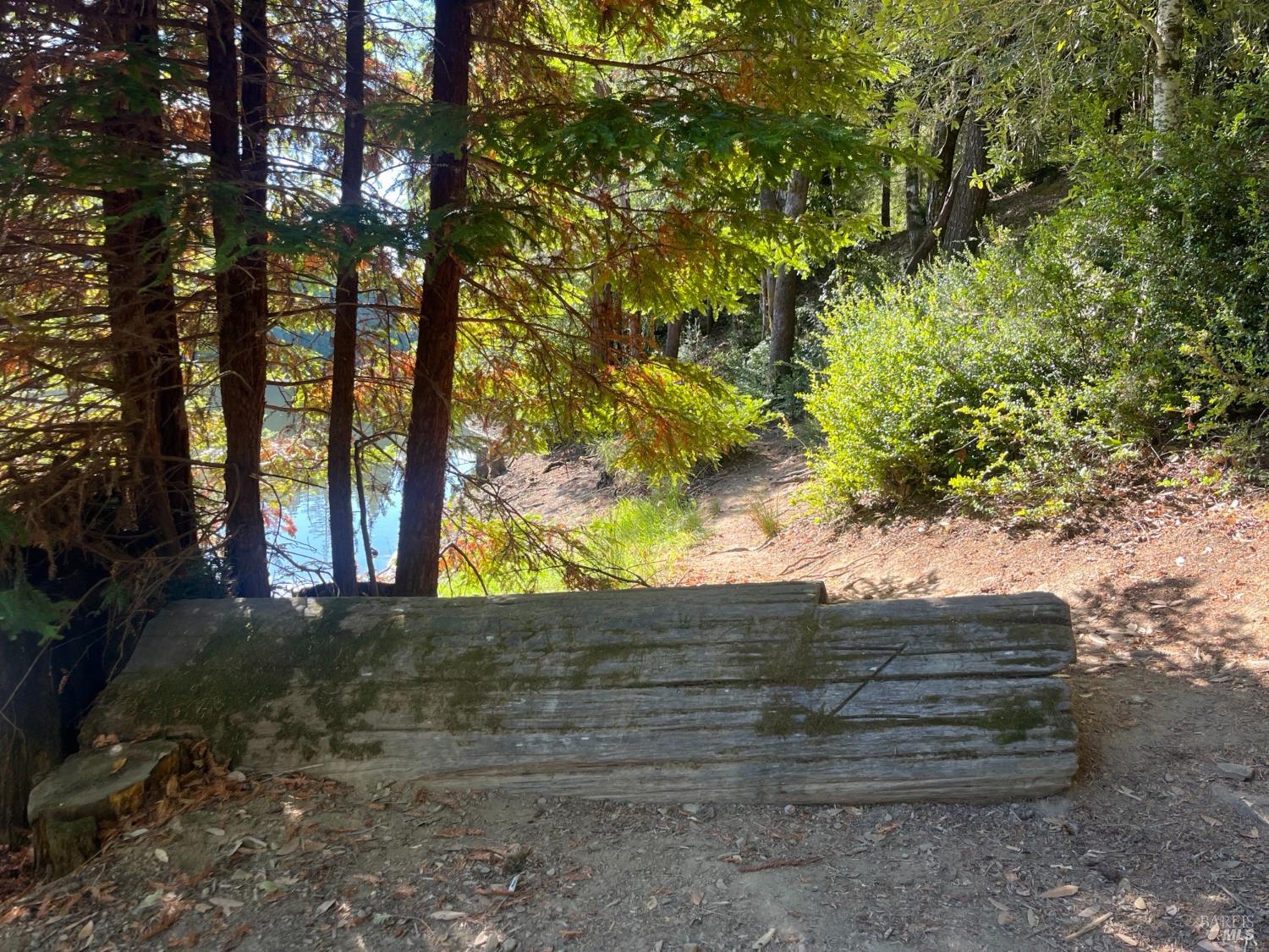 2114 Poppy Lane Willits CA 95490