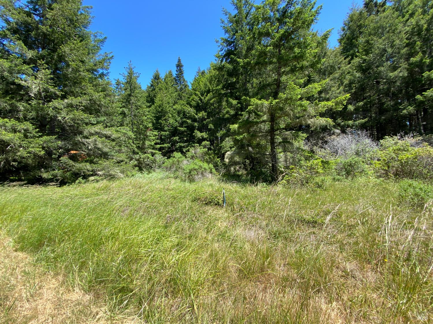 36734 Timber Ridge Road The Sea Ranch CA 95497