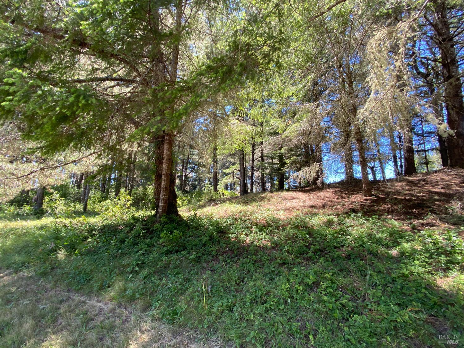 36734 Timber Ridge Road The Sea Ranch CA 95497