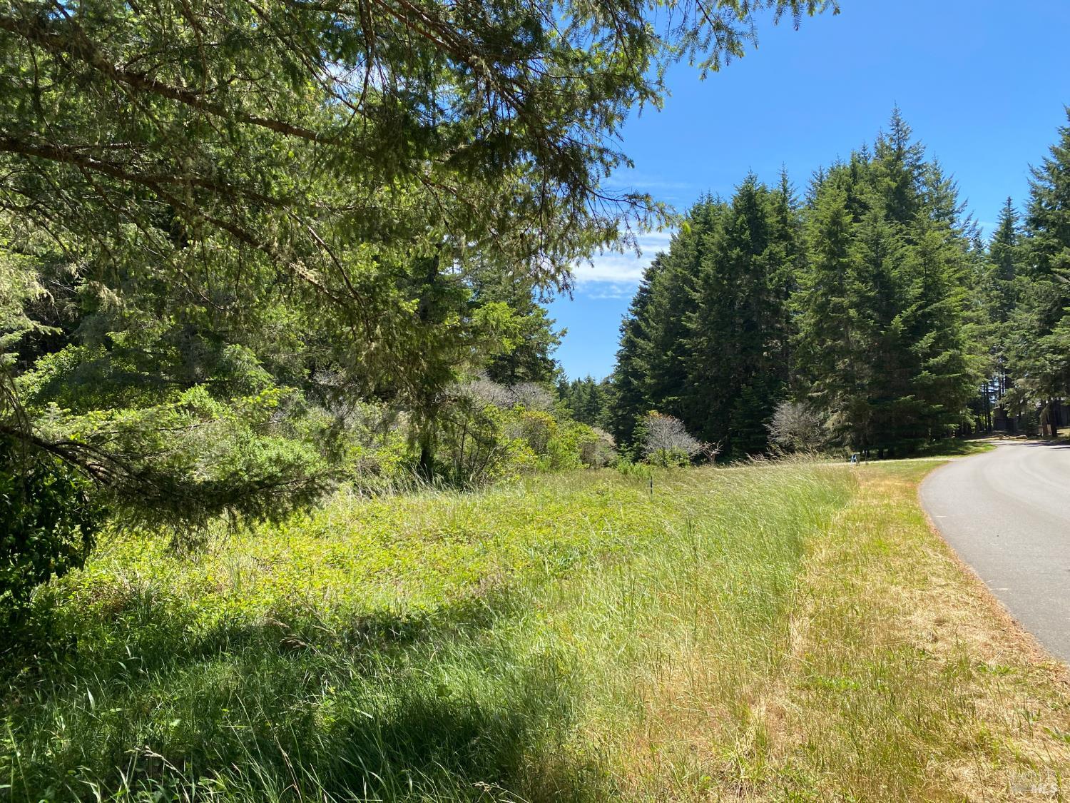 36734 Timber Ridge Road The Sea Ranch CA 95497