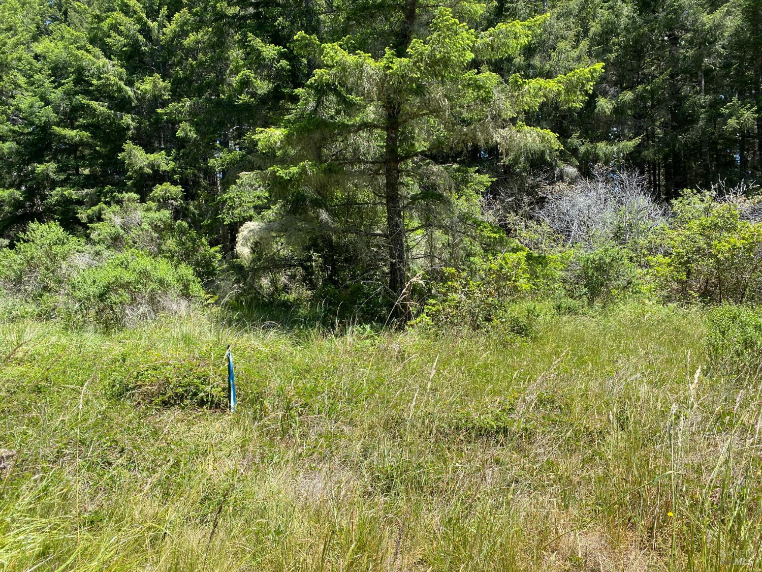 36734 Timber Ridge Road The Sea Ranch CA 95497