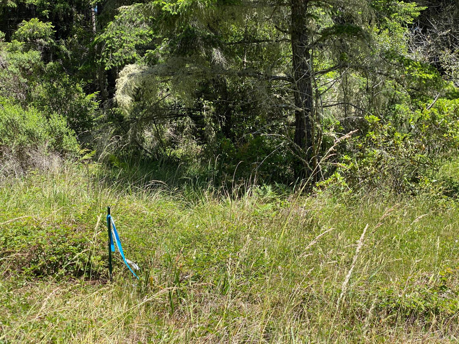 36734 Timber Ridge Road The Sea Ranch CA 95497
