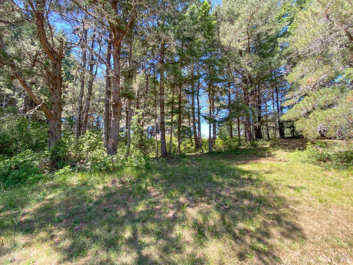 36734 Timber Ridge Road The Sea Ranch CA 95497