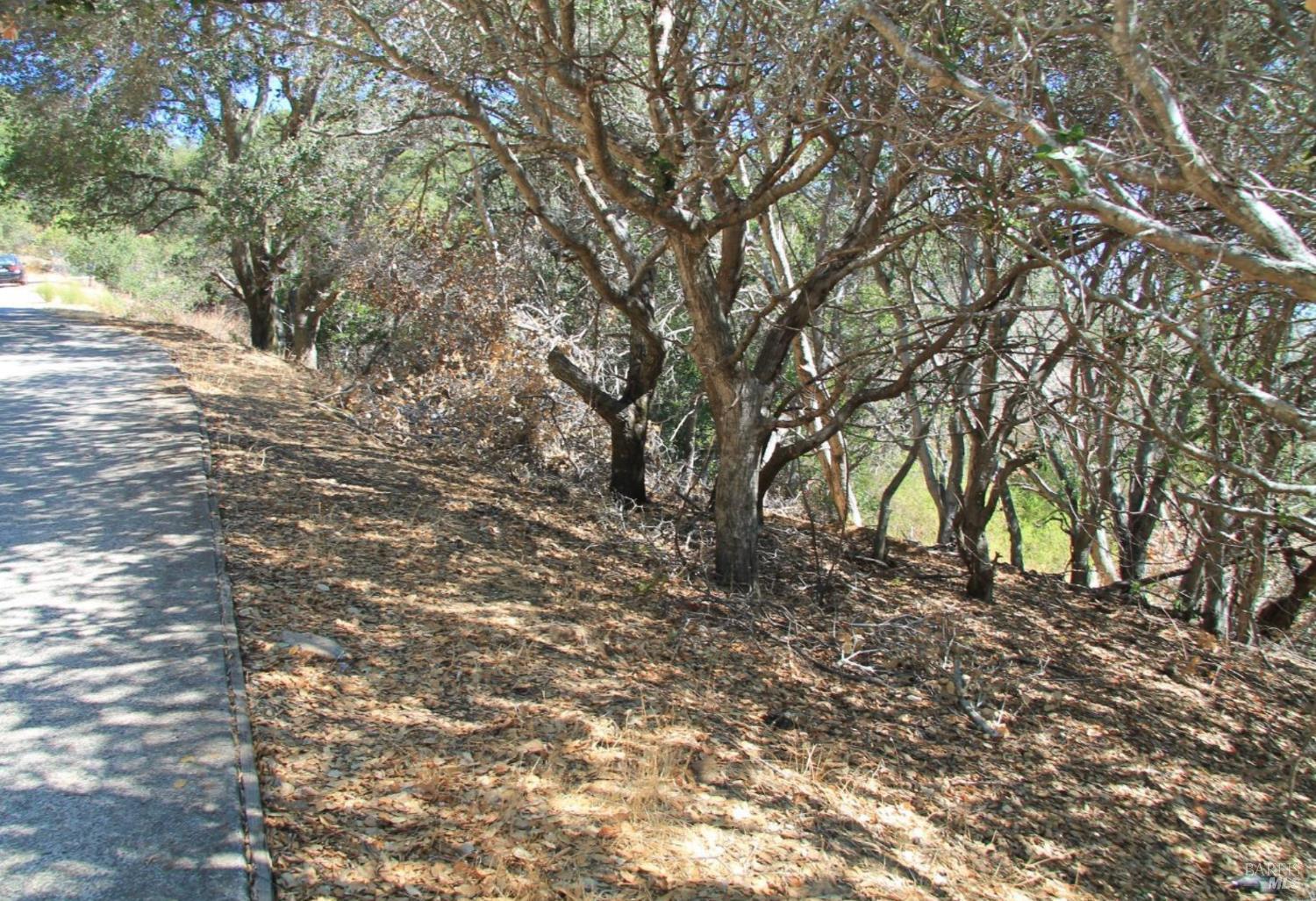 208 Pacheco Avenue Novato CA 94947