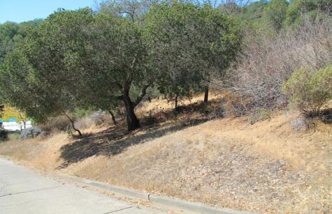 208 Pacheco Avenue Novato CA 94947