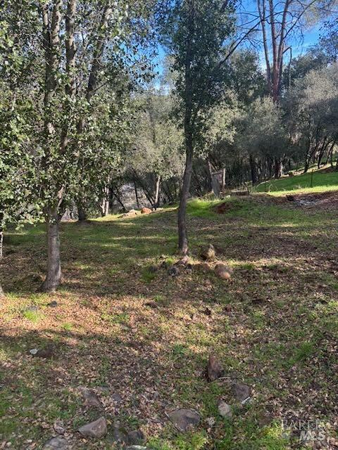214 Colt Court Pope Valley CA 94567