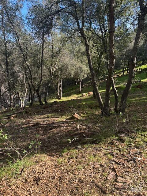 214 Colt Court Pope Valley CA 94567