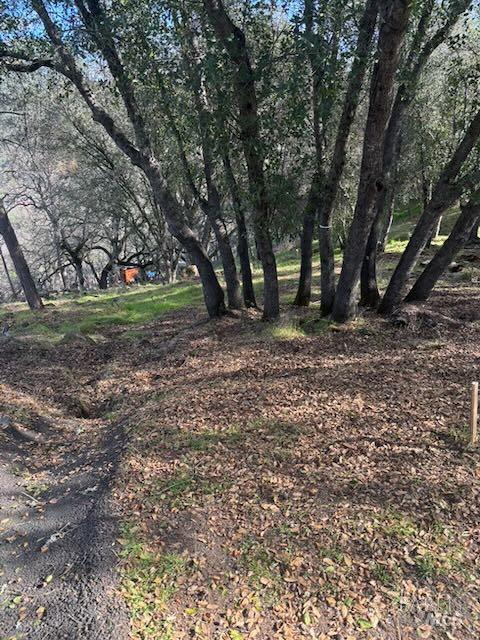 214 Colt Court Pope Valley CA 94567