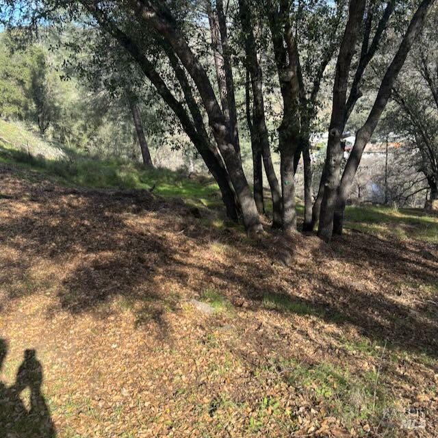 214 Colt Court Pope Valley CA 94567