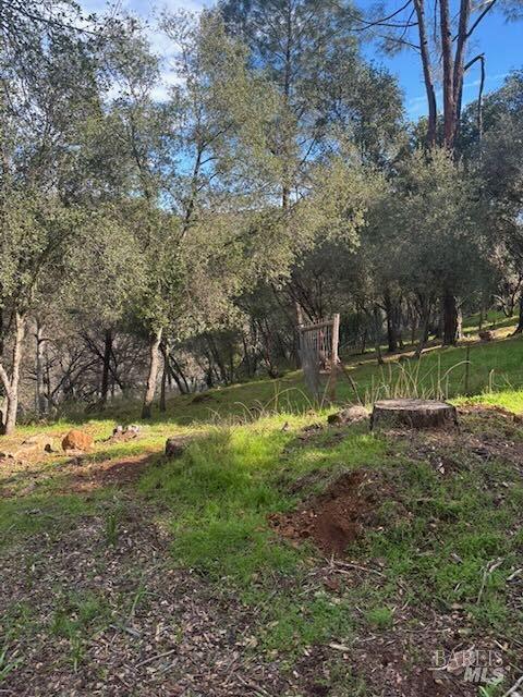 214 Colt Court Pope Valley CA 94567