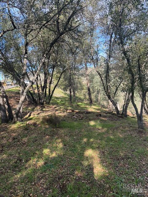 214 Colt Court Pope Valley CA 94567