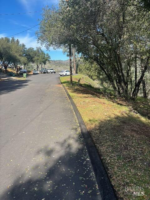 214 Colt Court Pope Valley CA 94567