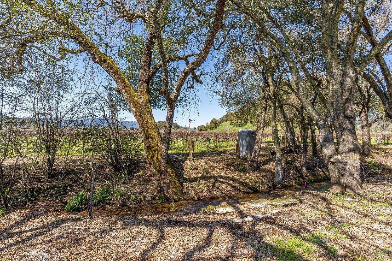 7025 Silverado Trail Napa CA 94558