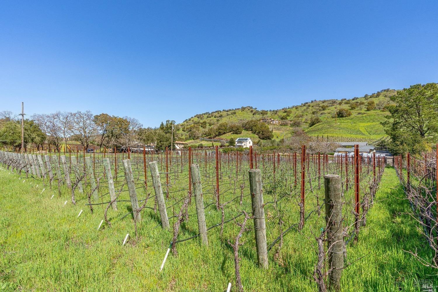 7025 Silverado Trail Napa CA 94558
