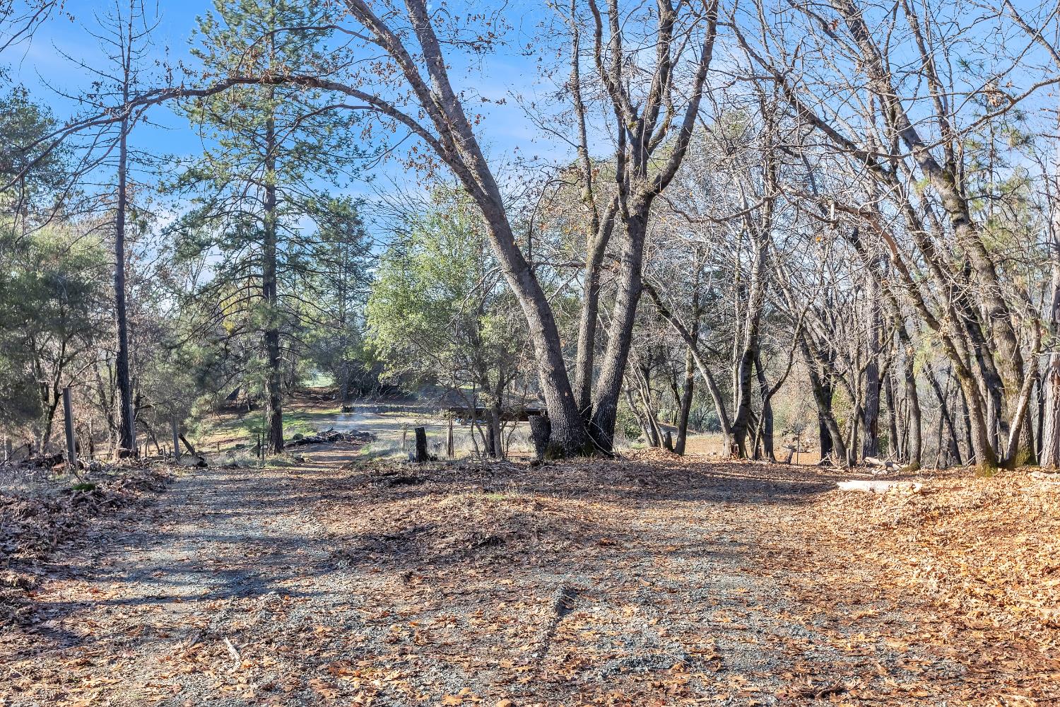 14776 La Place Lane Dobbins CA 95935