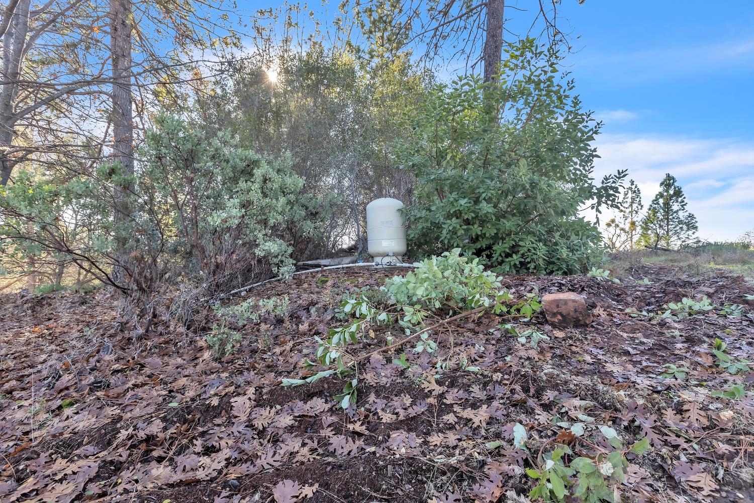 14776 La Place Lane Dobbins CA 95935