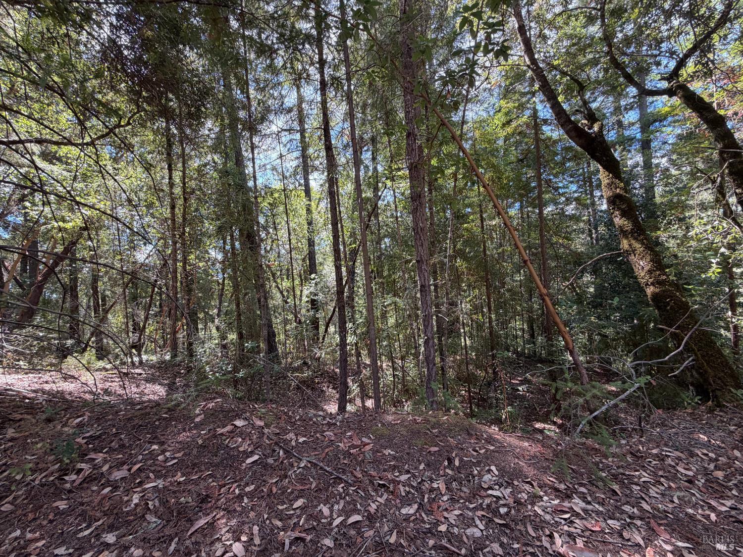 6911 Timber Drive Sebastopol CA 95472