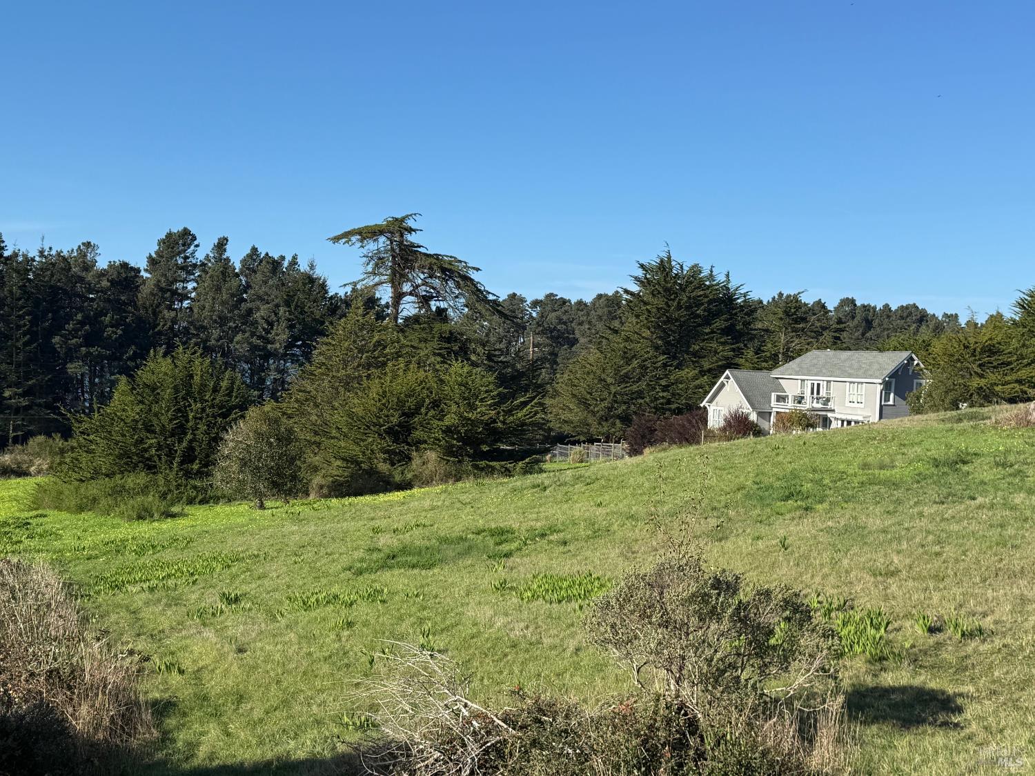 44831 Baywood Drive Mendocino CA 95460
