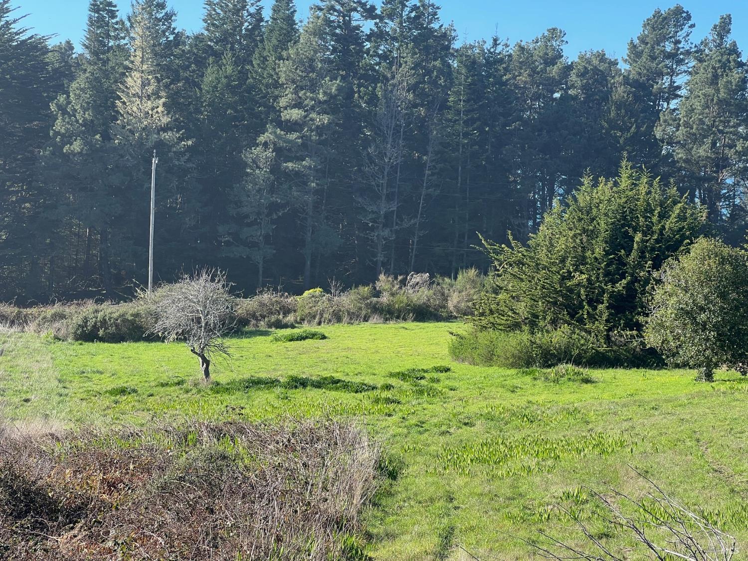 44831 Baywood Drive Mendocino CA 95460
