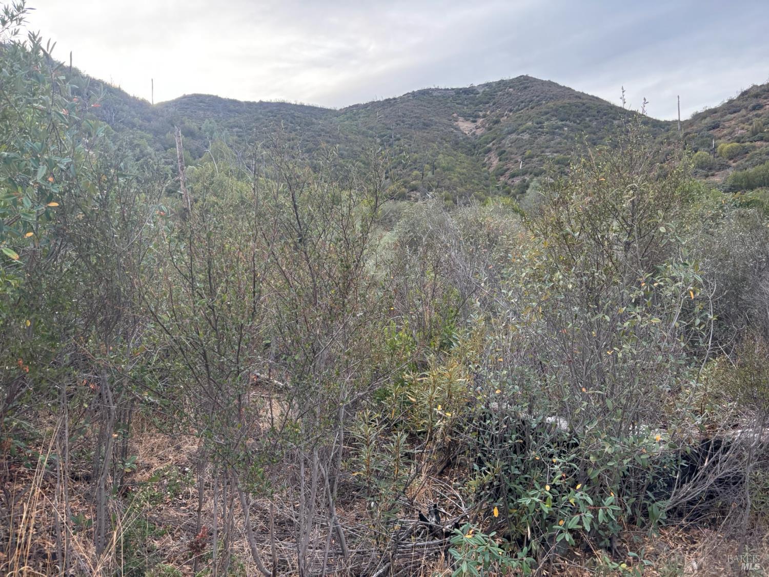 0 Apn 016-110-019-000 Pope Valley CA 94567