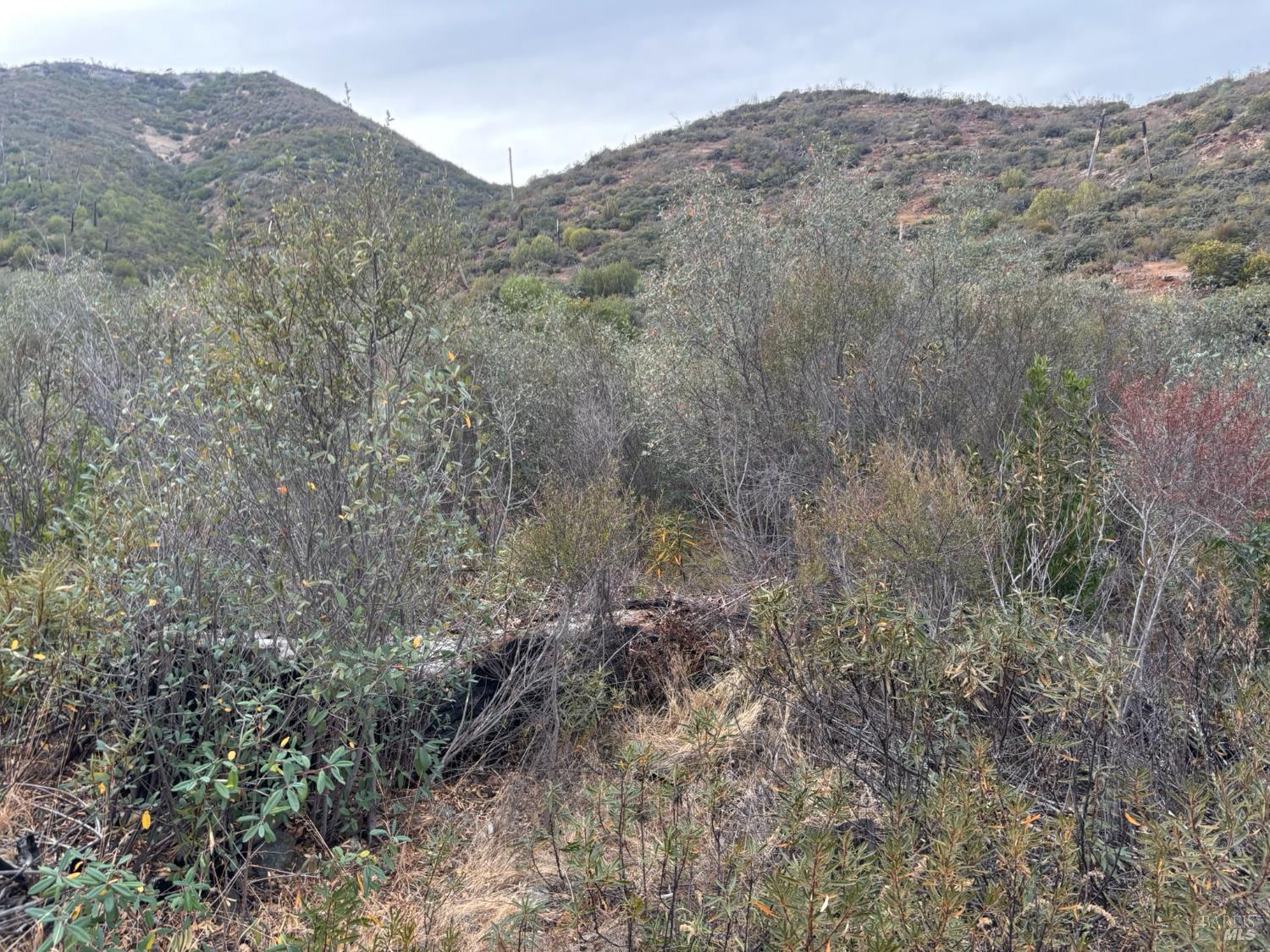0 Apn 016-110-019-000 Pope Valley CA 94567