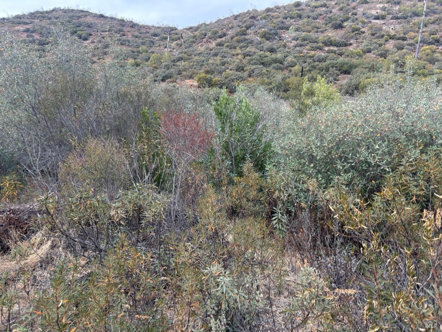 0 Apn 016-110-019-000 Pope Valley CA 94567