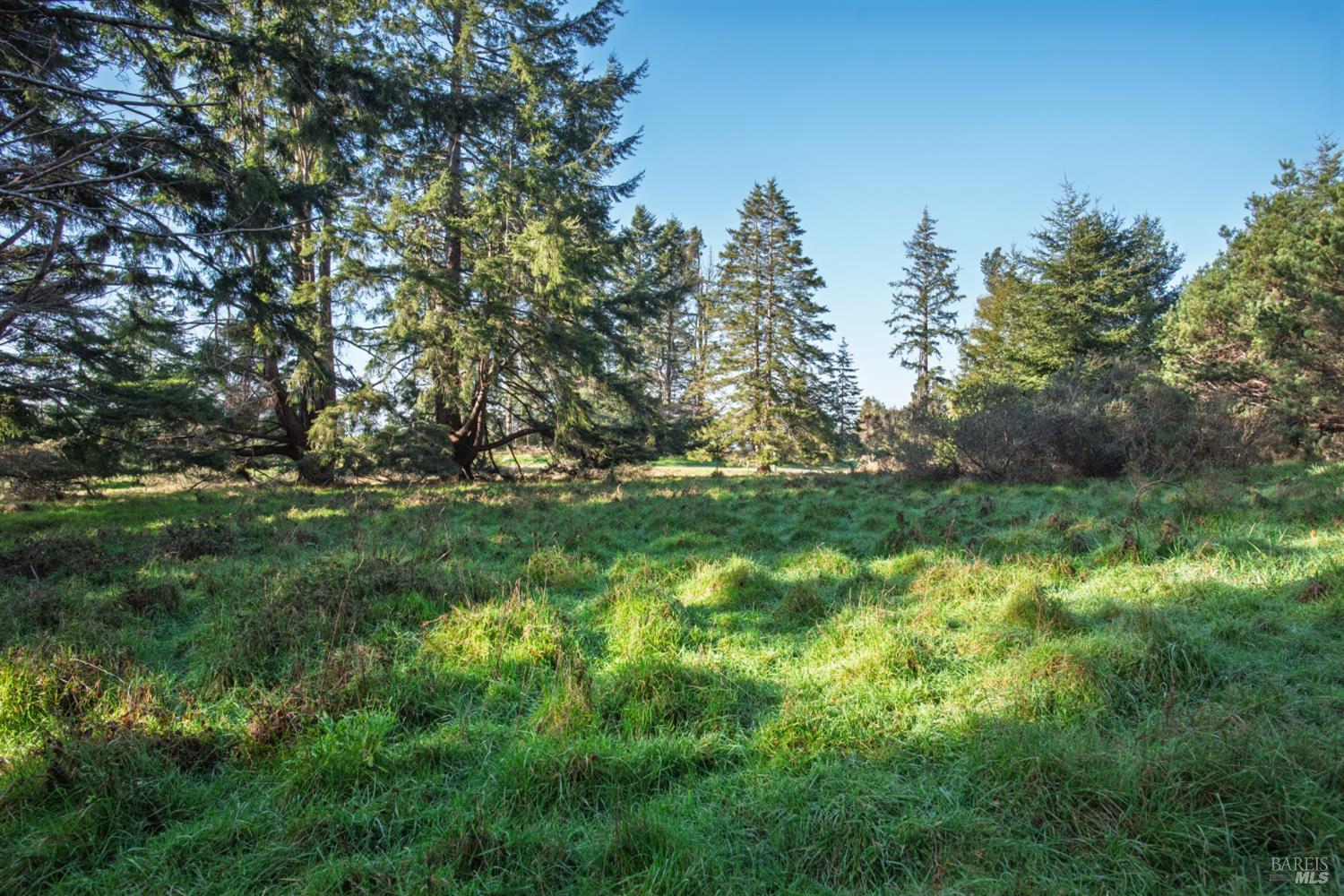 36231 Timber Ridge Road The Sea Ranch CA 95497