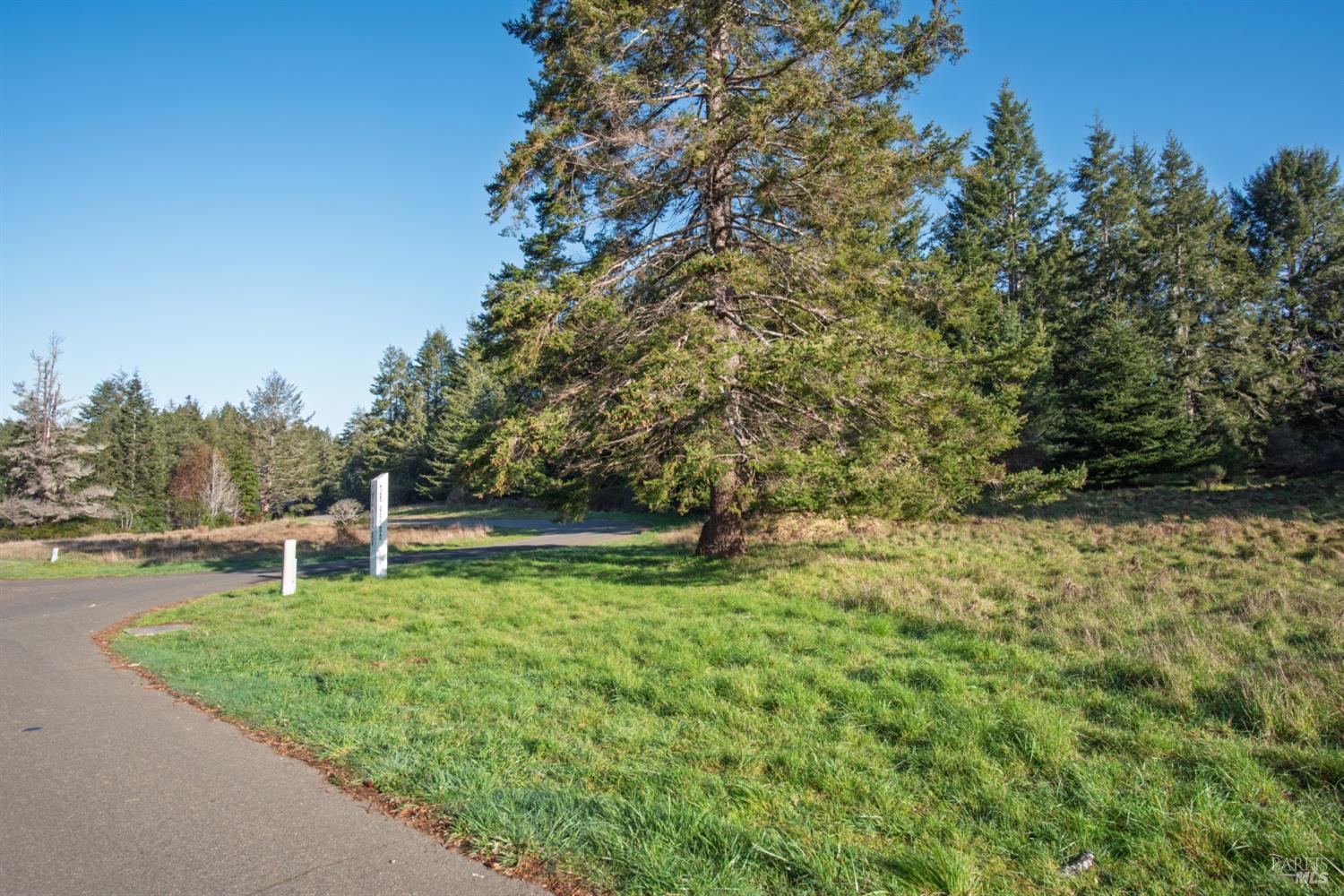 36231 Timber Ridge Road The Sea Ranch CA 95497