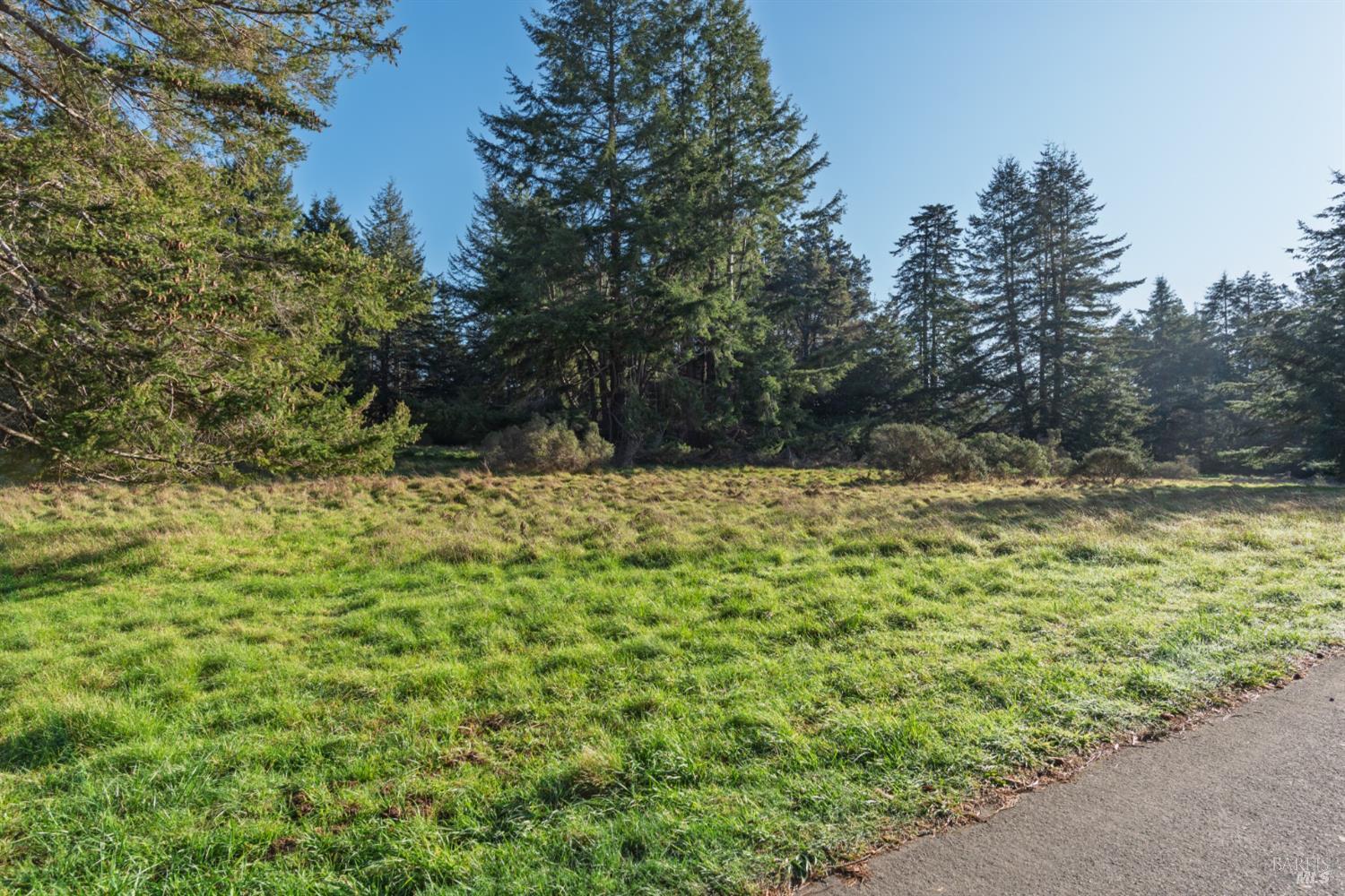 36231 Timber Ridge Road The Sea Ranch CA 95497
