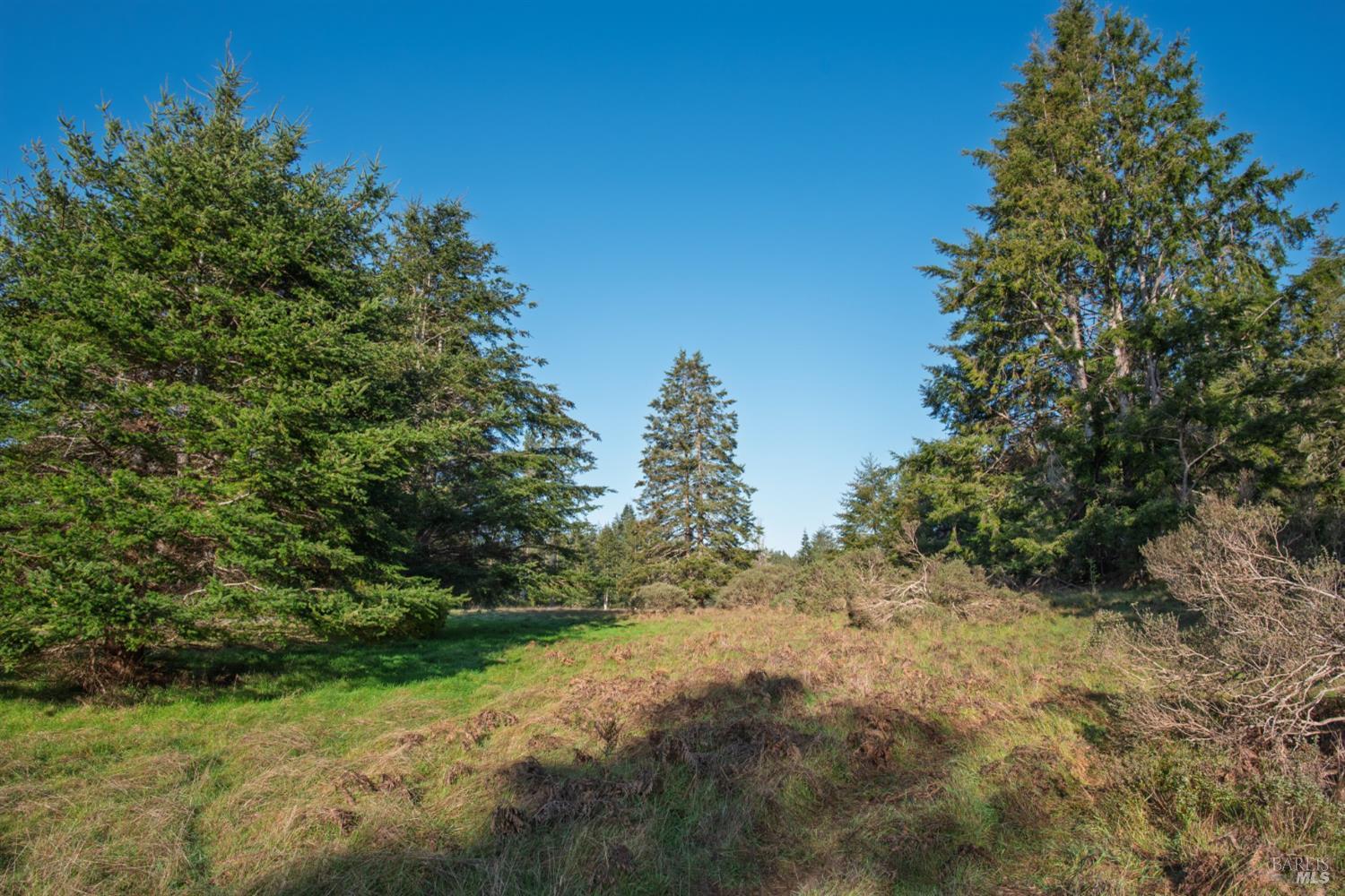 36231 Timber Ridge Road The Sea Ranch CA 95497