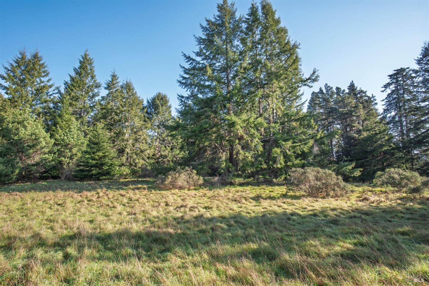 36231 Timber Ridge Road The Sea Ranch CA 95497