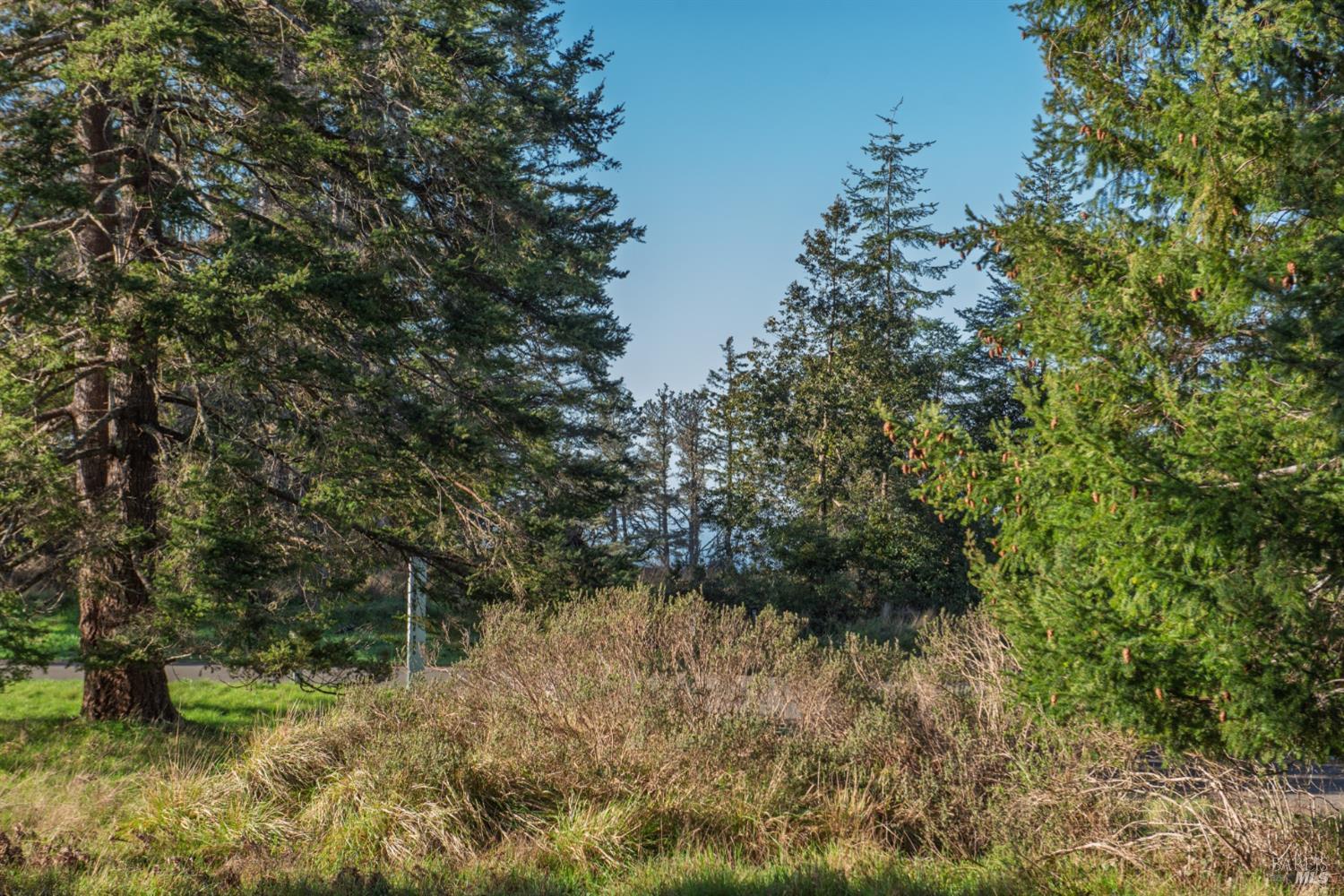 36231 Timber Ridge Road The Sea Ranch CA 95497