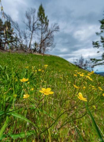 1400 Big Ridge Road Healdsburg CA 95448