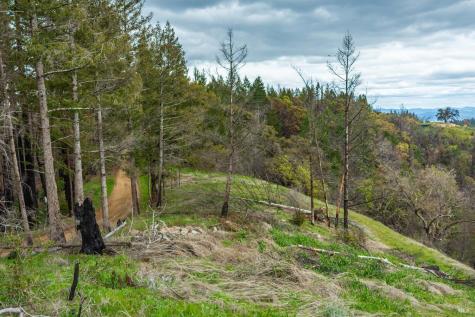 1400 Big Ridge Road Healdsburg CA 95448