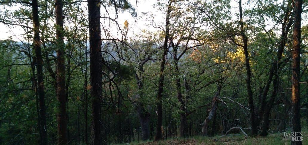 0 Beegum Gorge Road Platina CA 96076