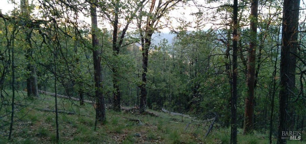 0 Beegum Gorge Road Platina CA 96076
