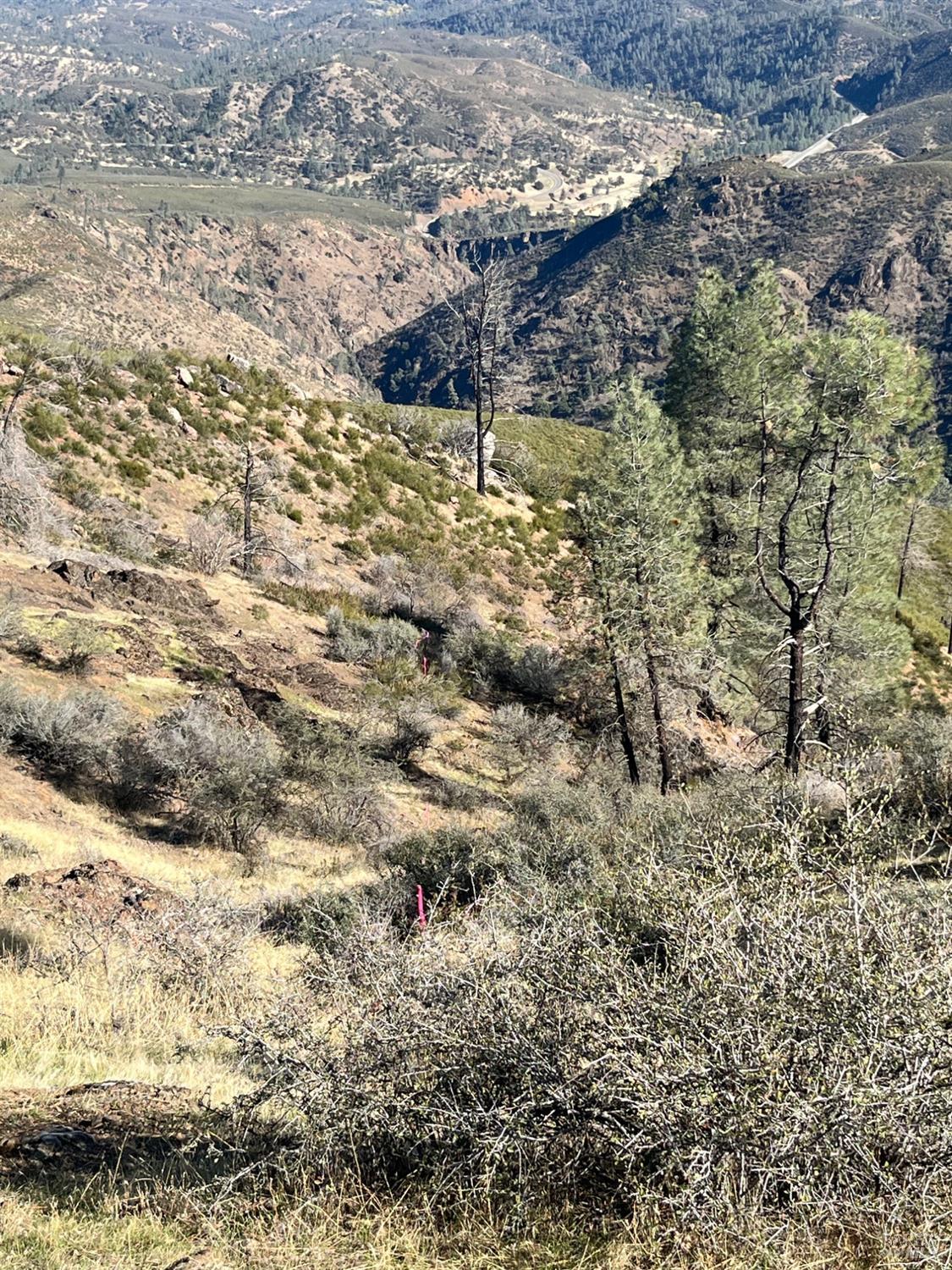 0 Beegum Gorge Road Platina CA 96076