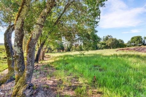 1100 Lytton Springs Road Healdsburg CA 95448