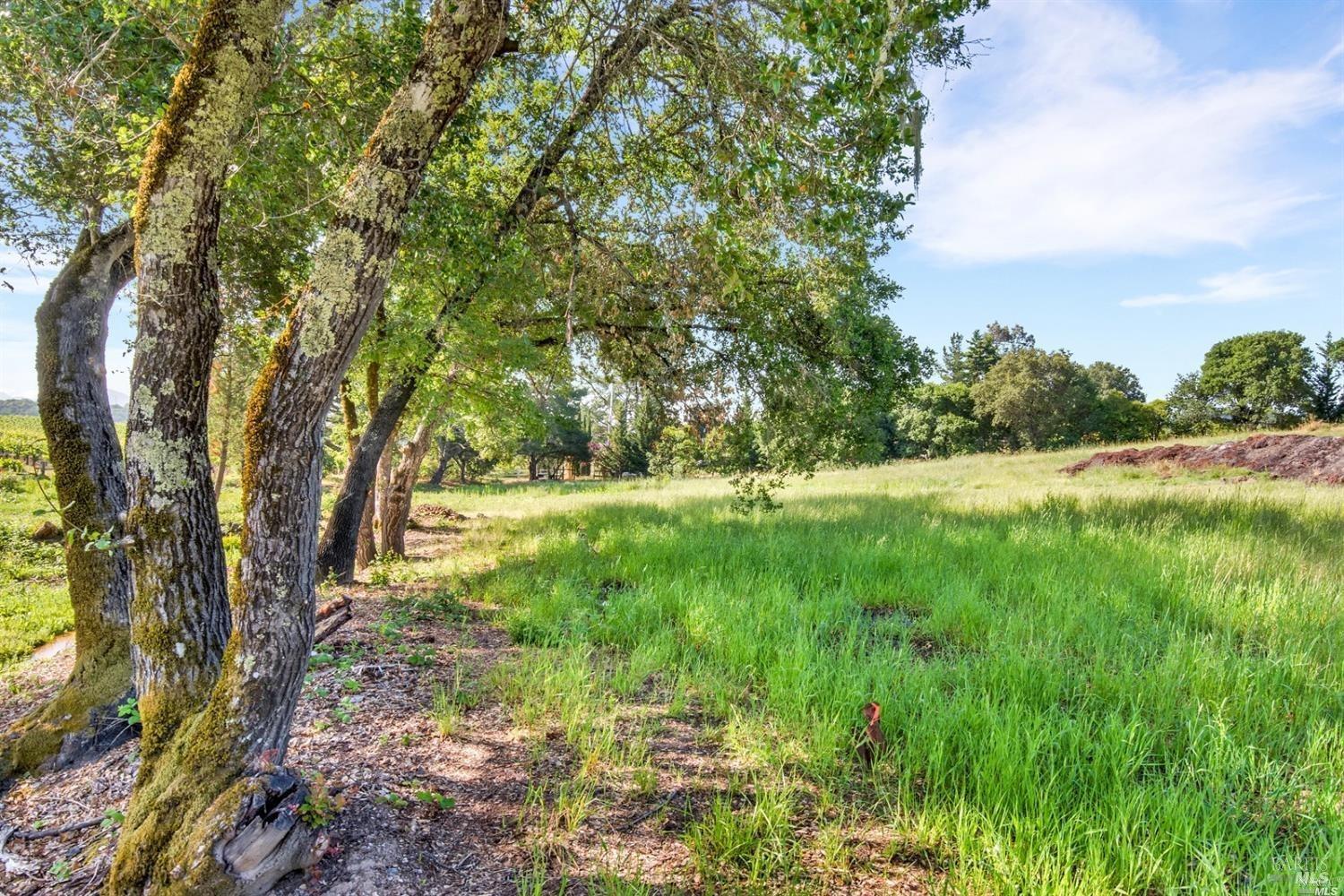 1100 Lytton Springs Road Healdsburg CA 95448