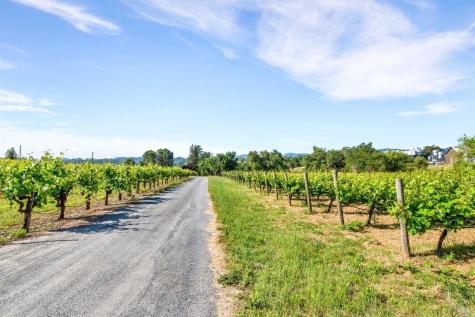 1100 Lytton Springs Road Healdsburg CA 95448