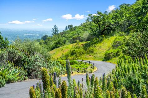 10 High Grove Lane Sonoma CA 95476