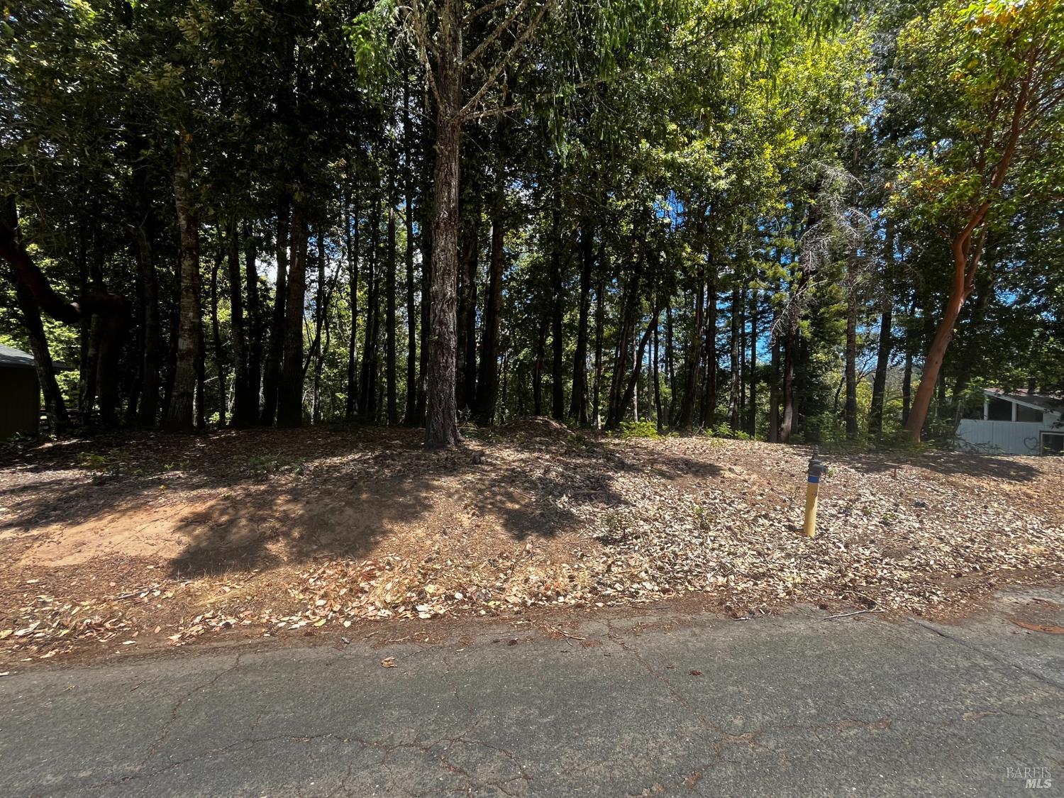 1670 Lilac Lane Willits CA 95490