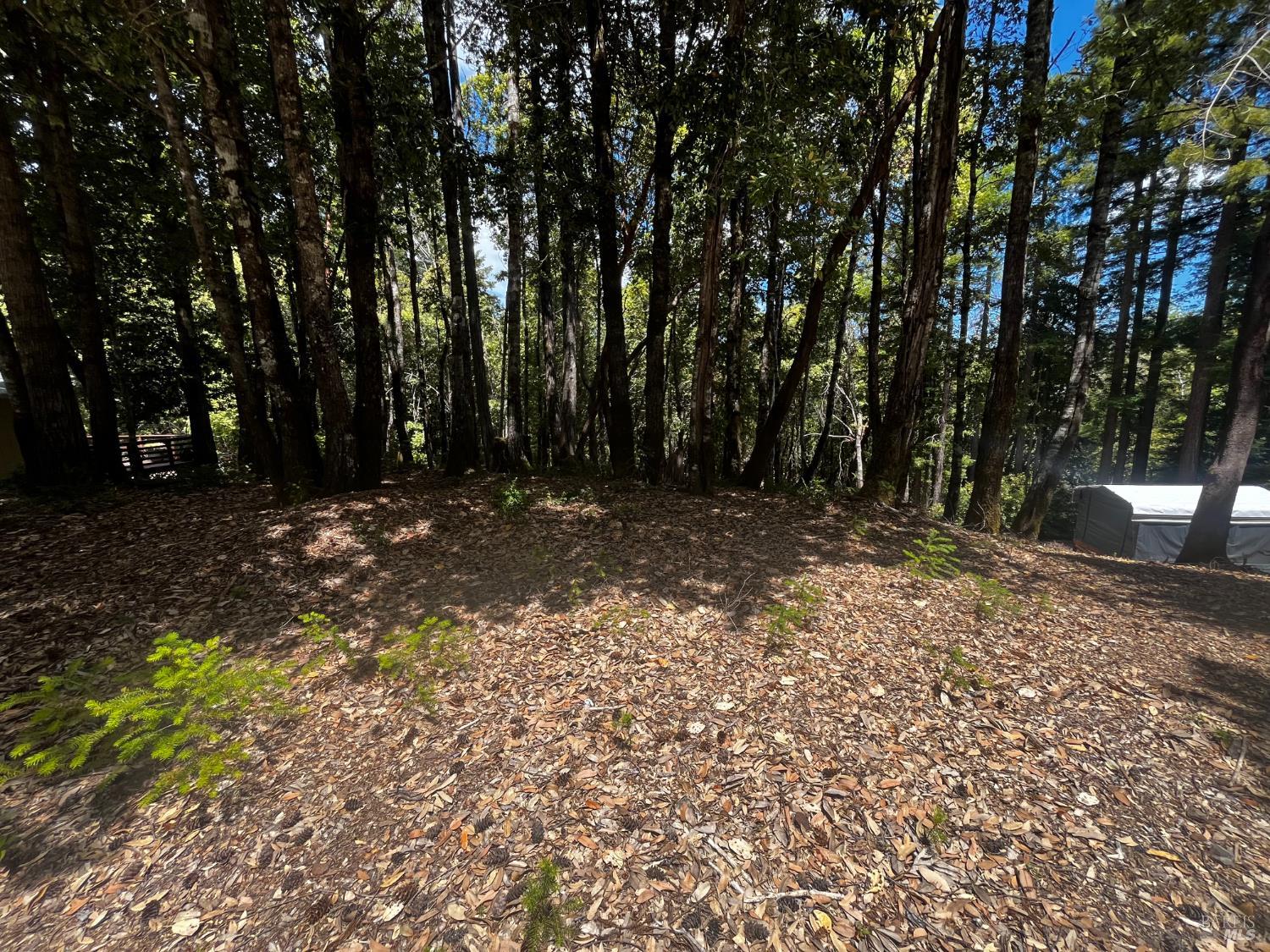 1670 Lilac Lane Willits CA 95490