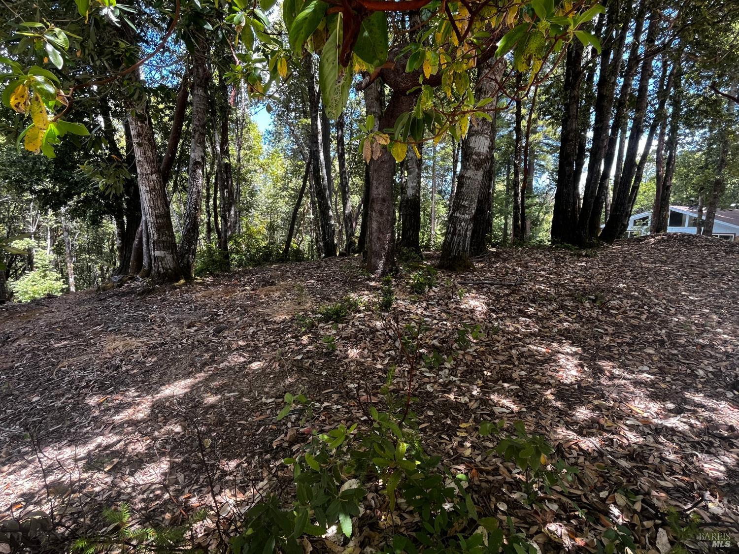 1670 Lilac Lane Willits CA 95490