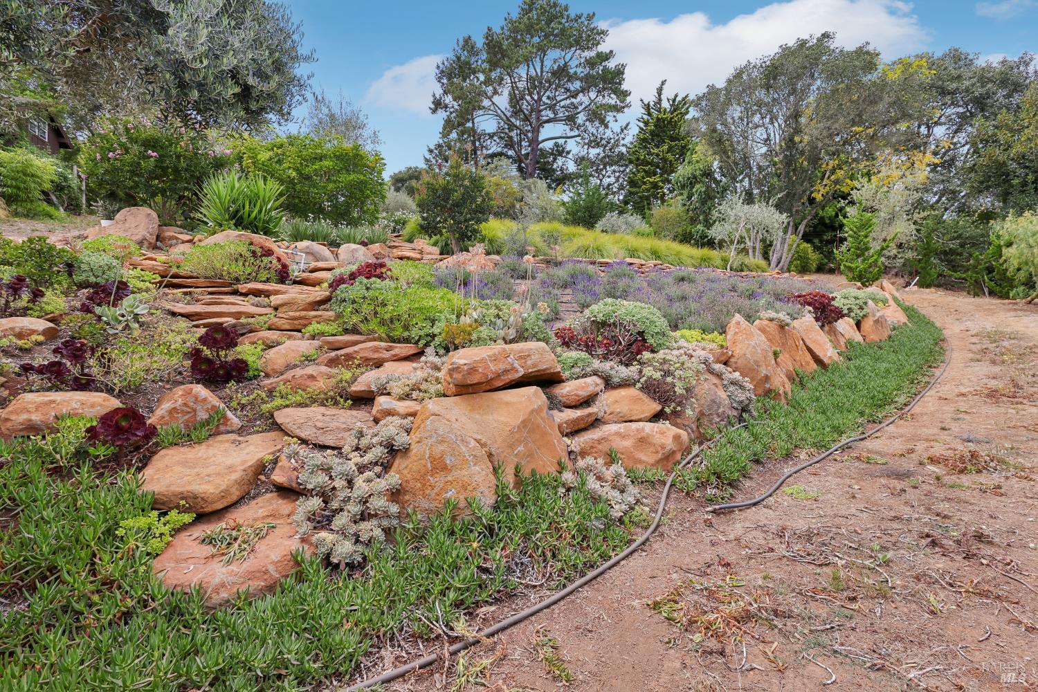 1424 Quail Court Santa Rosa CA 95404