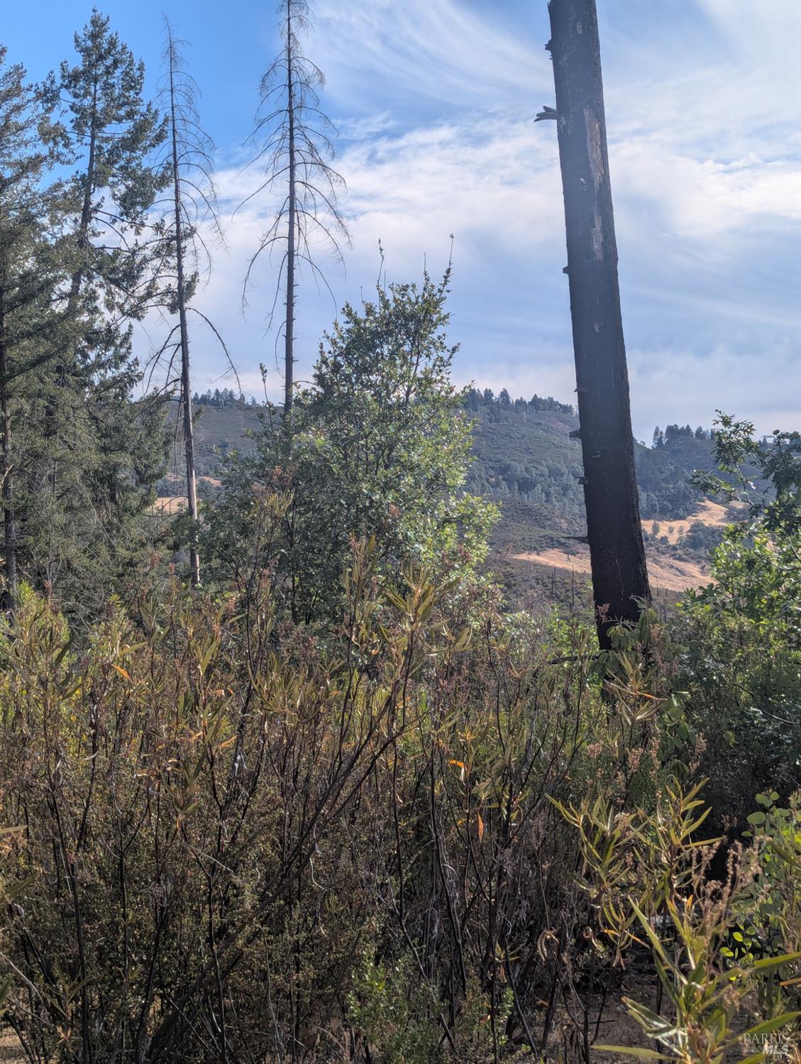 16351 Gibson Lane Potter Valley CA 95469