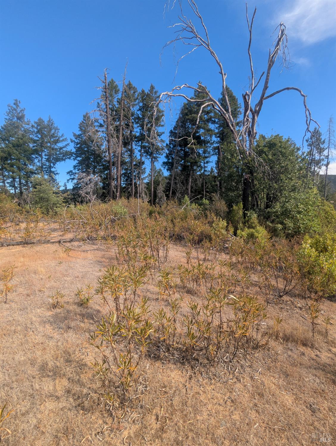 16351 Gibson Lane Potter Valley CA 95469