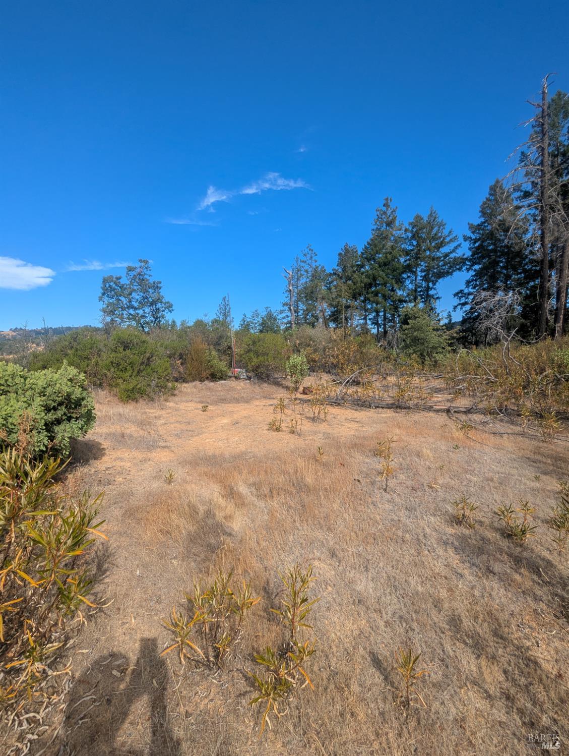 16351 Gibson Lane Potter Valley CA 95469