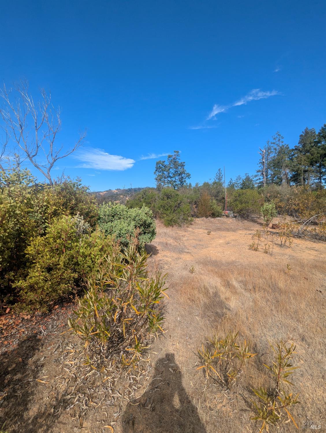 16351 Gibson Lane Potter Valley CA 95469